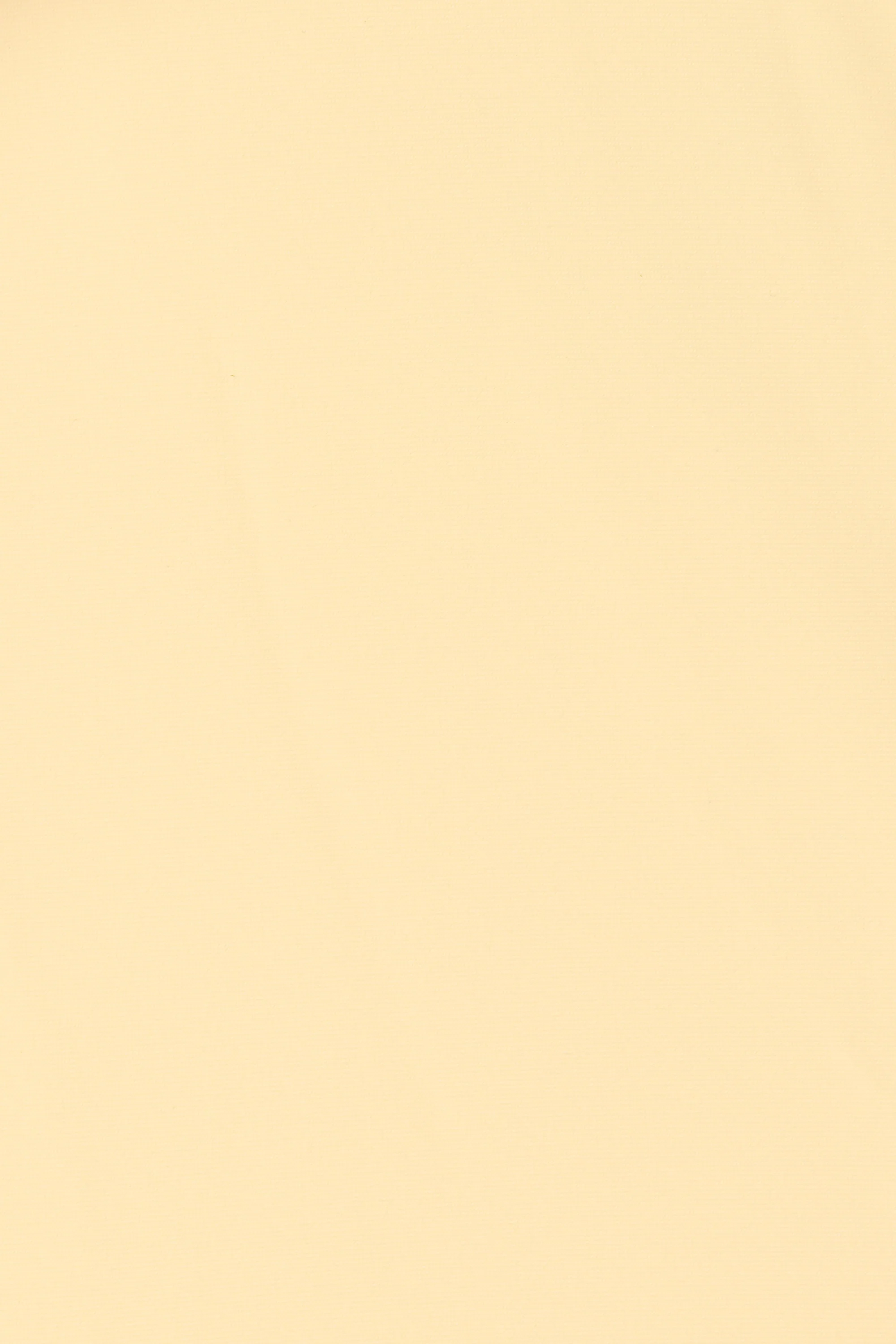 Andez Bikini Bottom Buttermilk - Image 5