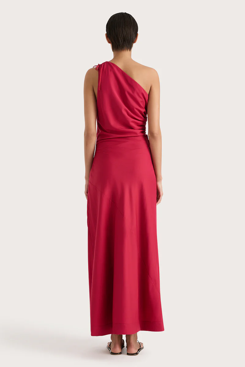 Laureles Maxi Dress Raspberry - Final Sale - Image 4